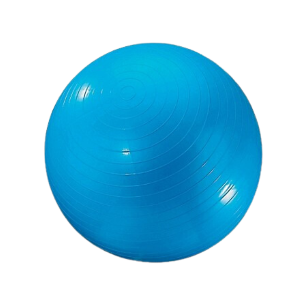 Dick Martin Gymnic Ball 24" (60 cm)