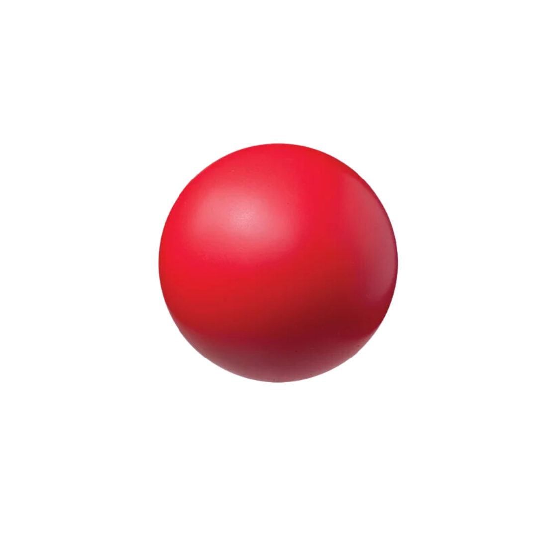 Image of Champion Sports High Density Ball 8.5'' - Deportes Salvador Colom