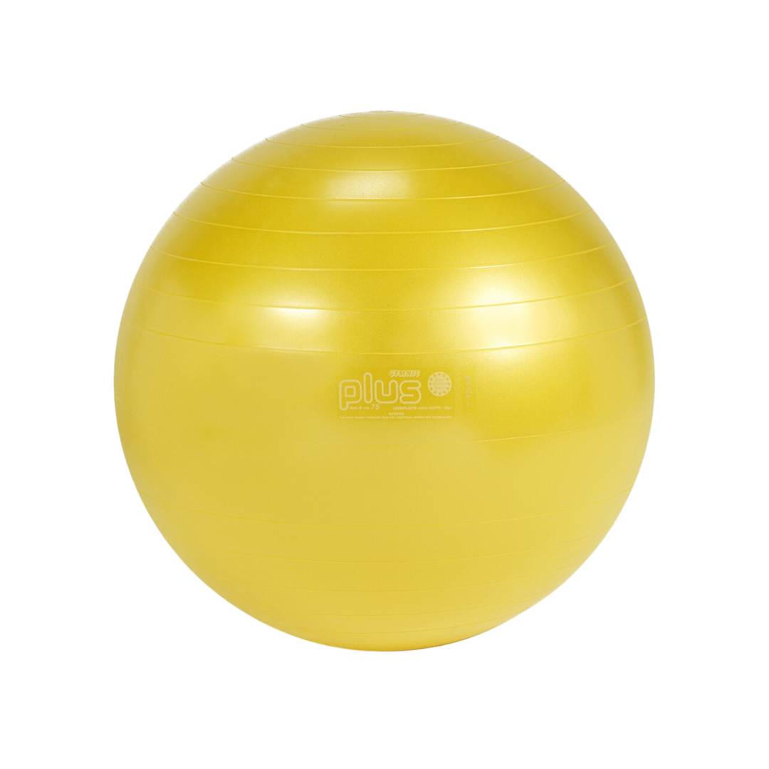 Image of Dick Martin Gymnic Ball 34'' (85 cm) - Deportes Salvador Colom