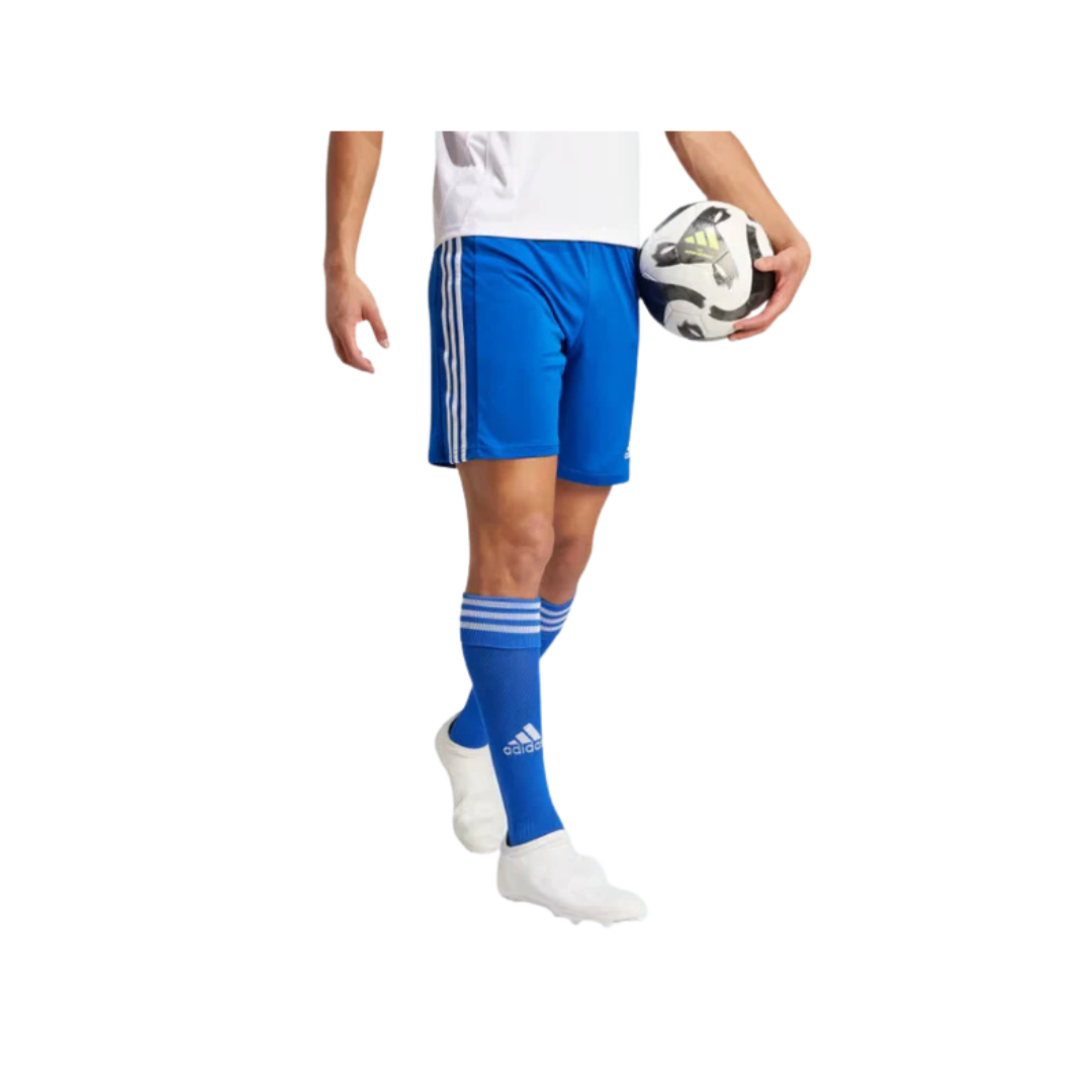 Image of Adidas Adult Squadra 21 Short Large (Royal) - Deportes Salvador Colom