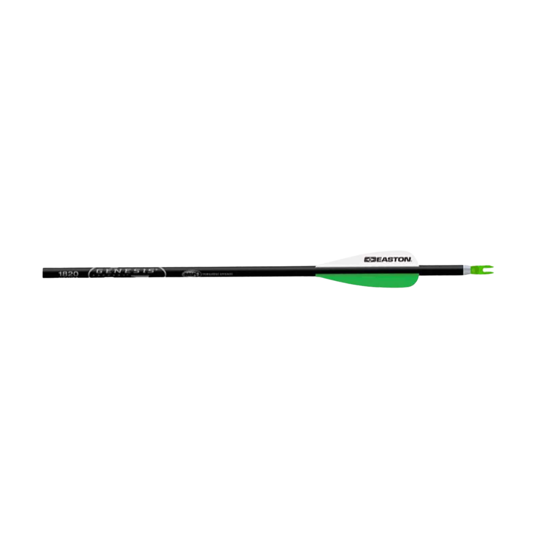 Image of Easton Genesis Arrow 30