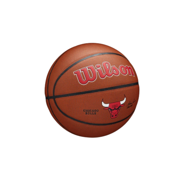 Wilson NBA Team Alliance Chicago Bulls Basketball #7