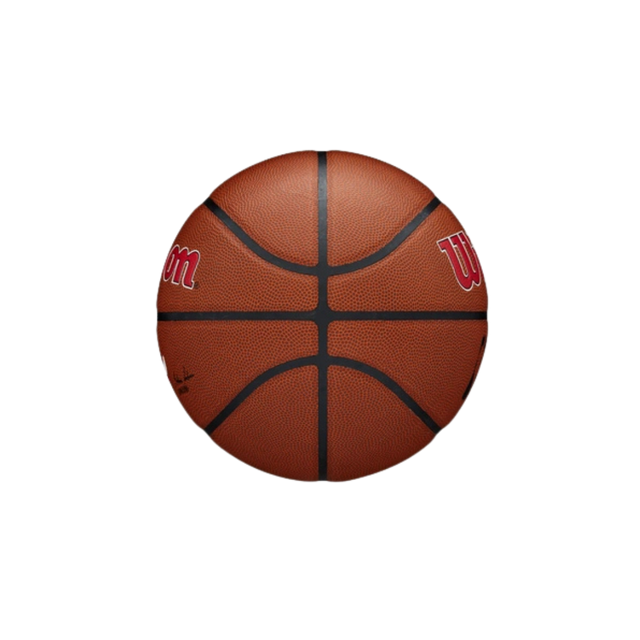 Wilson NBA Team Alliance Chicago Bulls Basketball #7