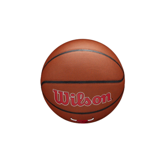 Wilson NBA Team Alliance Chicago Bulls Basketball #7