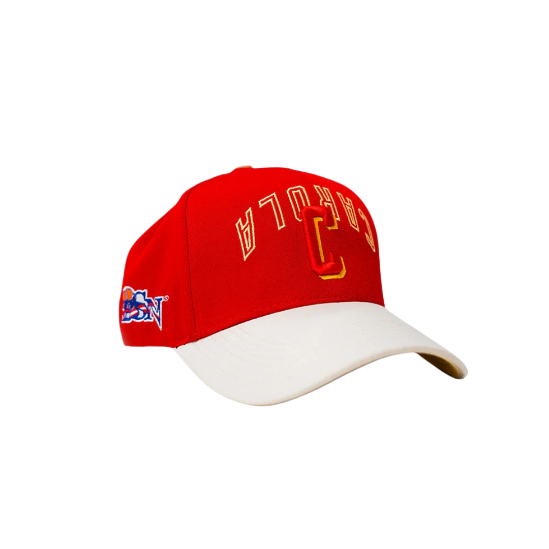 Image of Homegrown x BSN Carolina Snapback