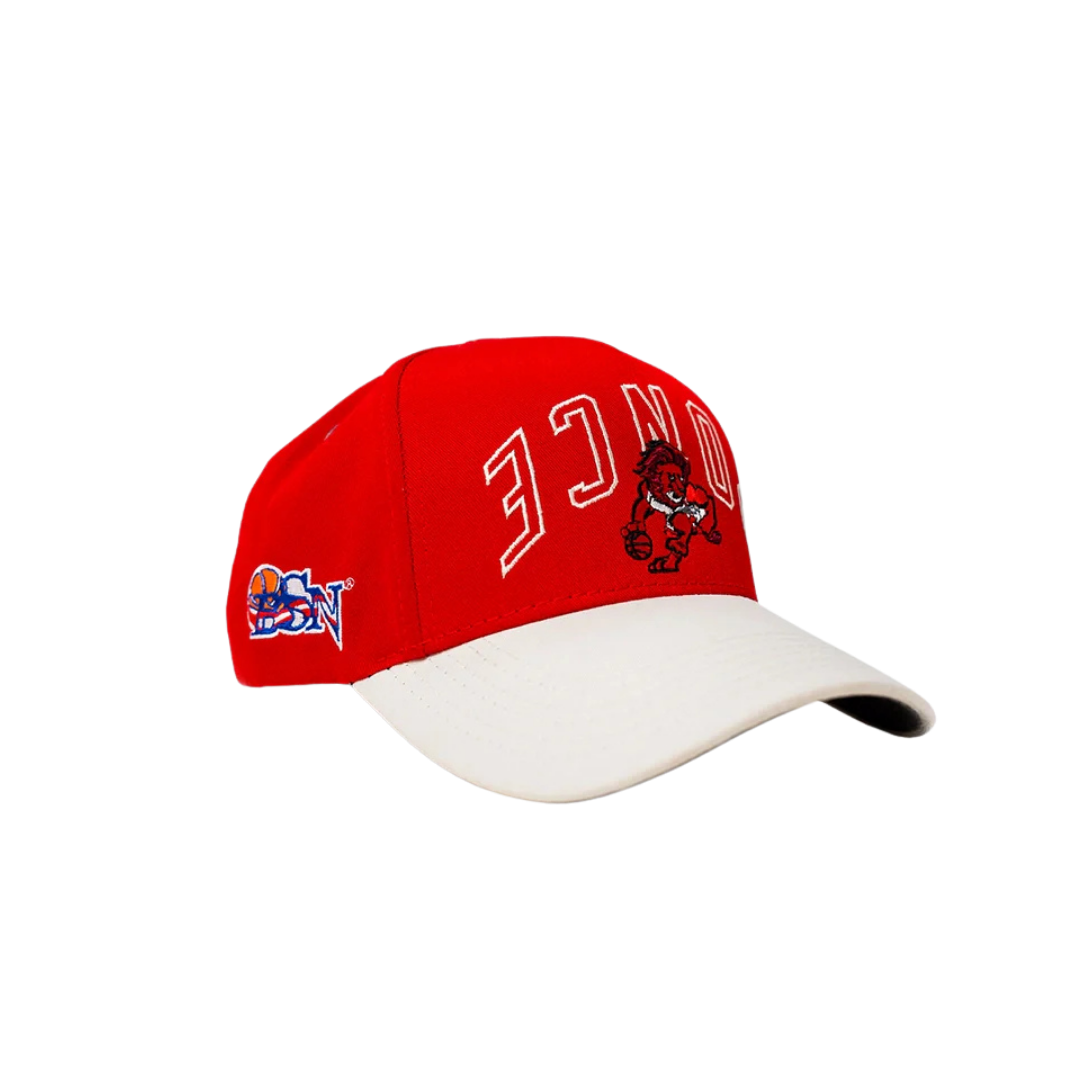 Image of Homegrown x BSN Ponce Snapback