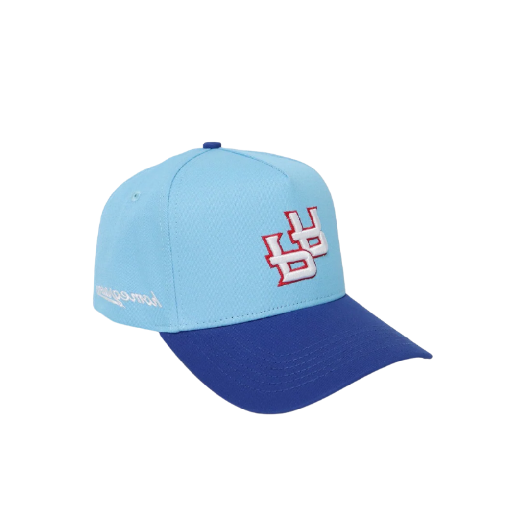Image of Homegrown Blue on Blue PR Snapback
