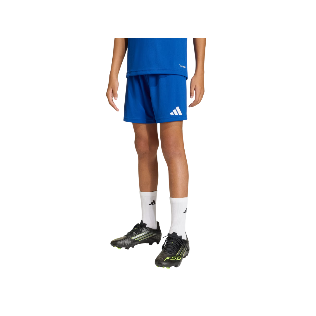 Image of Adidas Youth Entrada26 Shorts (Royal)