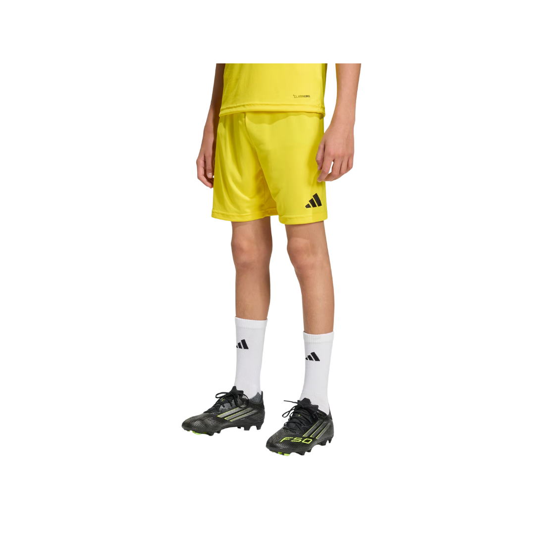 Adidas Youth Entrada26 Shorts (Yellow)