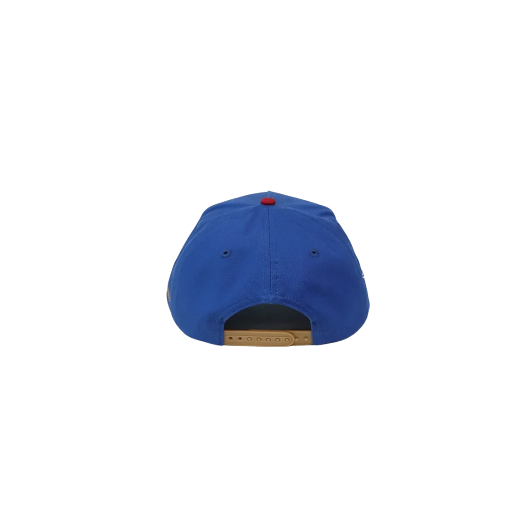 Homegrown PR World Classic ‘26 Snapback