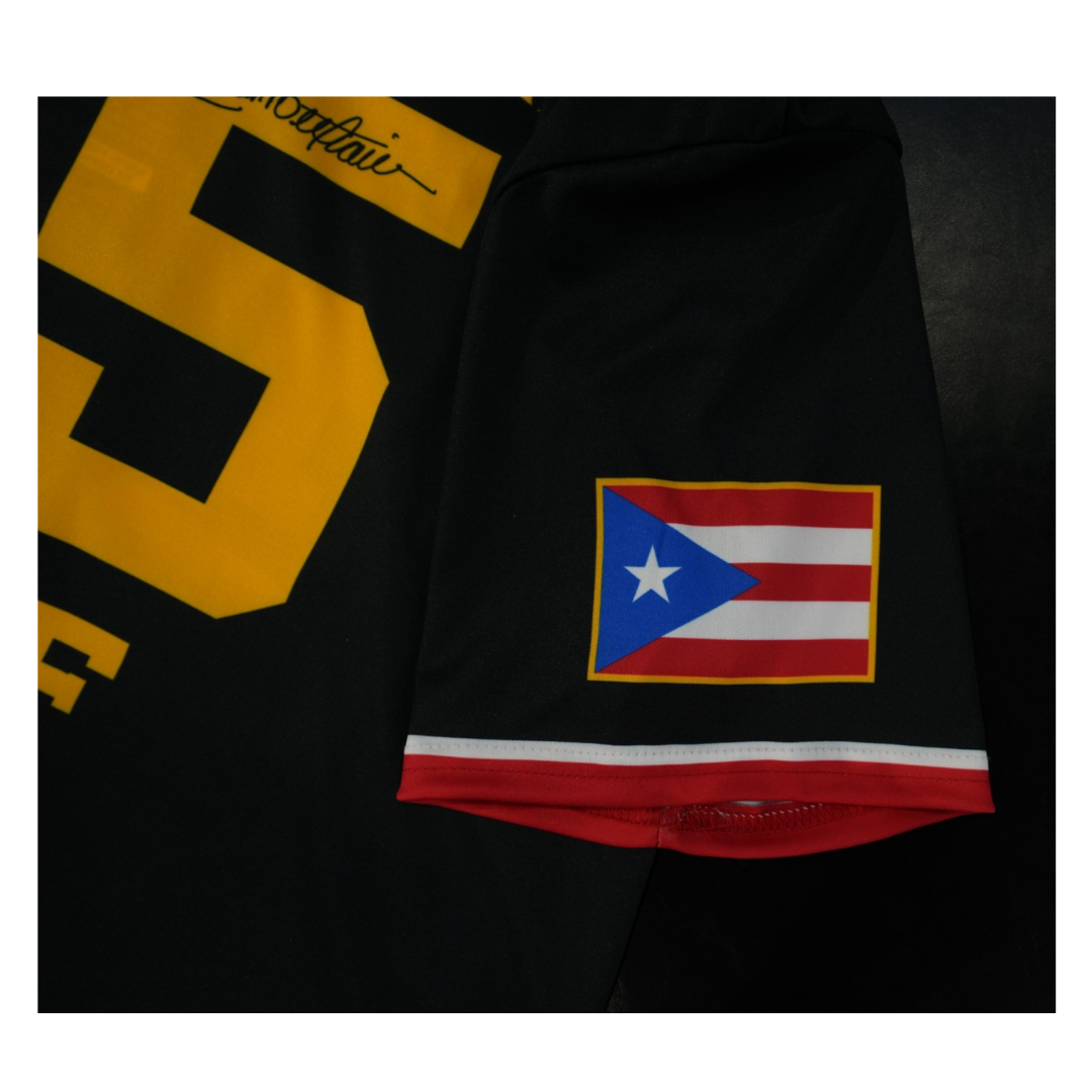 Carlos Beltran HOF Jersey