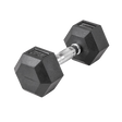 Lifeline Hex Rubber Dumbbell 20 lb - Deportes Salvador Colom