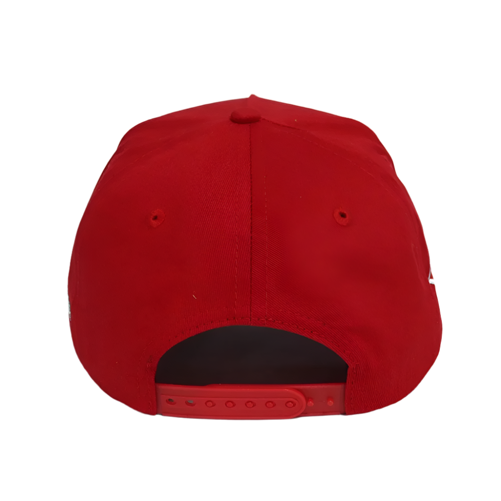 Homegrown PR Snapback Hat (Red/Columbia Blue)